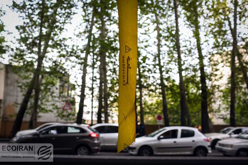 محدودیت های ترافیکی 28 صفر اعلام شد