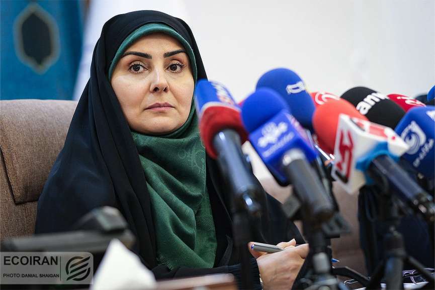 چه تعداد زائر ایرانی از مراسم اربعین بازگشتند؟