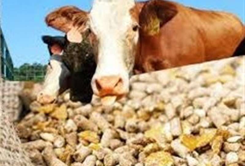 برخی افراد خاص ارز می‌گیرند و خالی فروشی می‌کنند