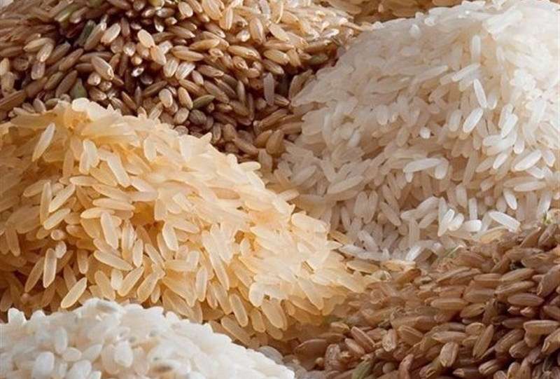 رونمایی از دو رقم برنج، که قبلاً رونمایی شده!