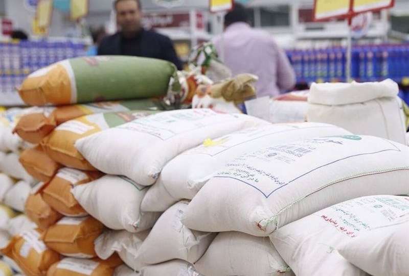 فعال بازار برنج: وزارت جهاد با آزمون و خطا بازار را نامتعادل کرد