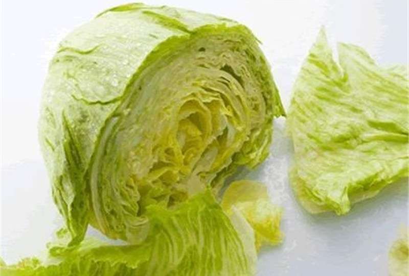 هسته‌ای در کشاورزی ــ 57| افزایش ماندگاری «کاهو و کلم» با فناوری هسته‌ای