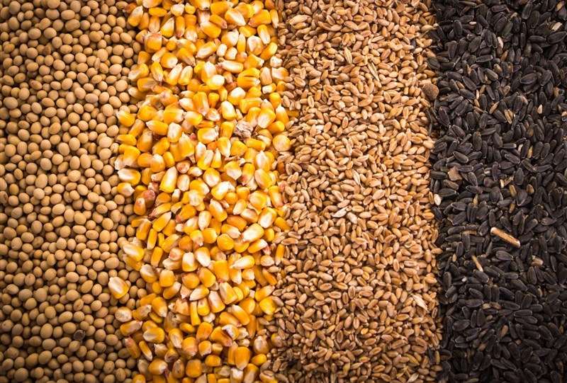 آغاز تخلیه و بارگیری نهاده های دامی تحت کلید دولت