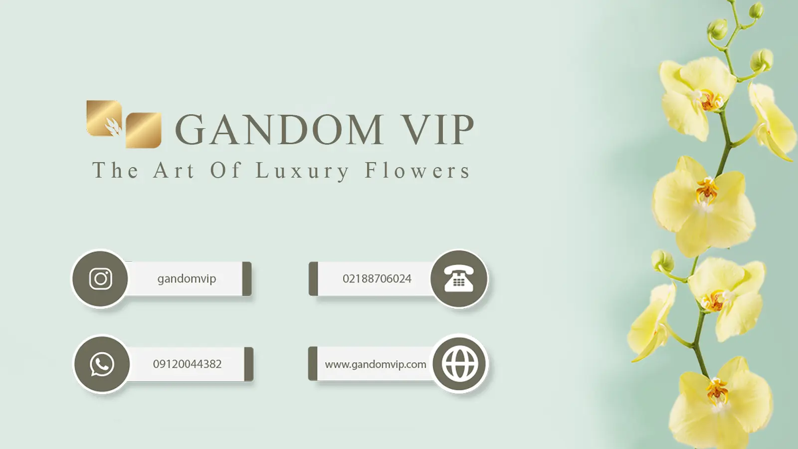 ارسال فوری گل در تهران و کرج با فاکتور رسمی ممکن شد