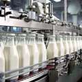 جهان در سال ۲۰۲۴ حدود ۳۴ میلیارد دلار شیر خرید؛ رتبه ۲۳ ایران در تولید