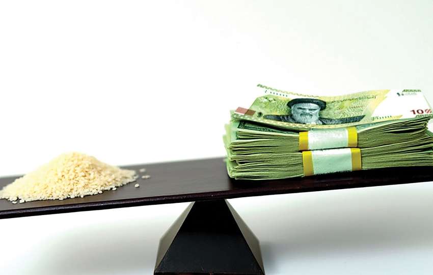 راه‌حل کنترل قیمت برنج صرفاً تخصیص یا حذف ارز ترجیحی نیست