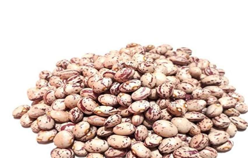 رشد 27 برابری قیمت لوبیا چیتی در 6 سال