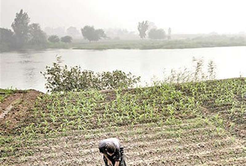 نقش تاریخی نیل در کشاورزی مصر و پیامدهای سدسازی