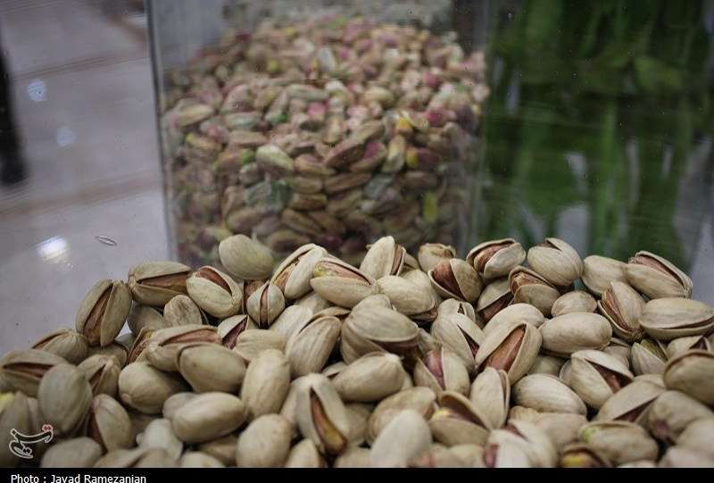 هسته‌ای در کشاورزی ــ 65 | دفع حشرات «پسته» با فناوری هسته‌ای