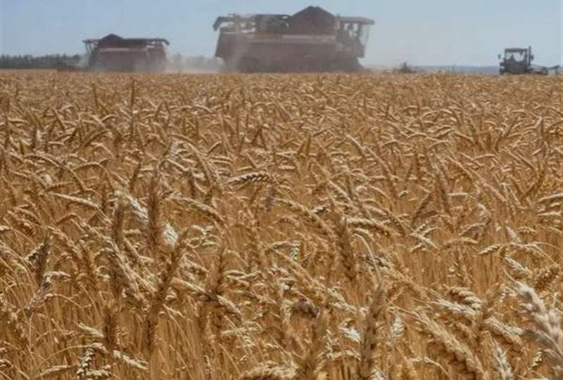 ورود کشتی‌های بزرگ گندم به کشور/ ذخایر راهبردی تقویت می‌شود