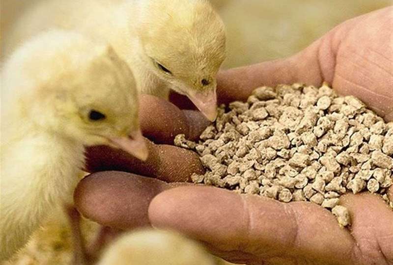 وعده وزیر برای ترخیص کامل محموله‌های نهاده معطل در بنادر