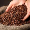 افزایش ۲۱درصدی ارزش صادرات جهانی قهوه؛ برزیل در صدر صادرات