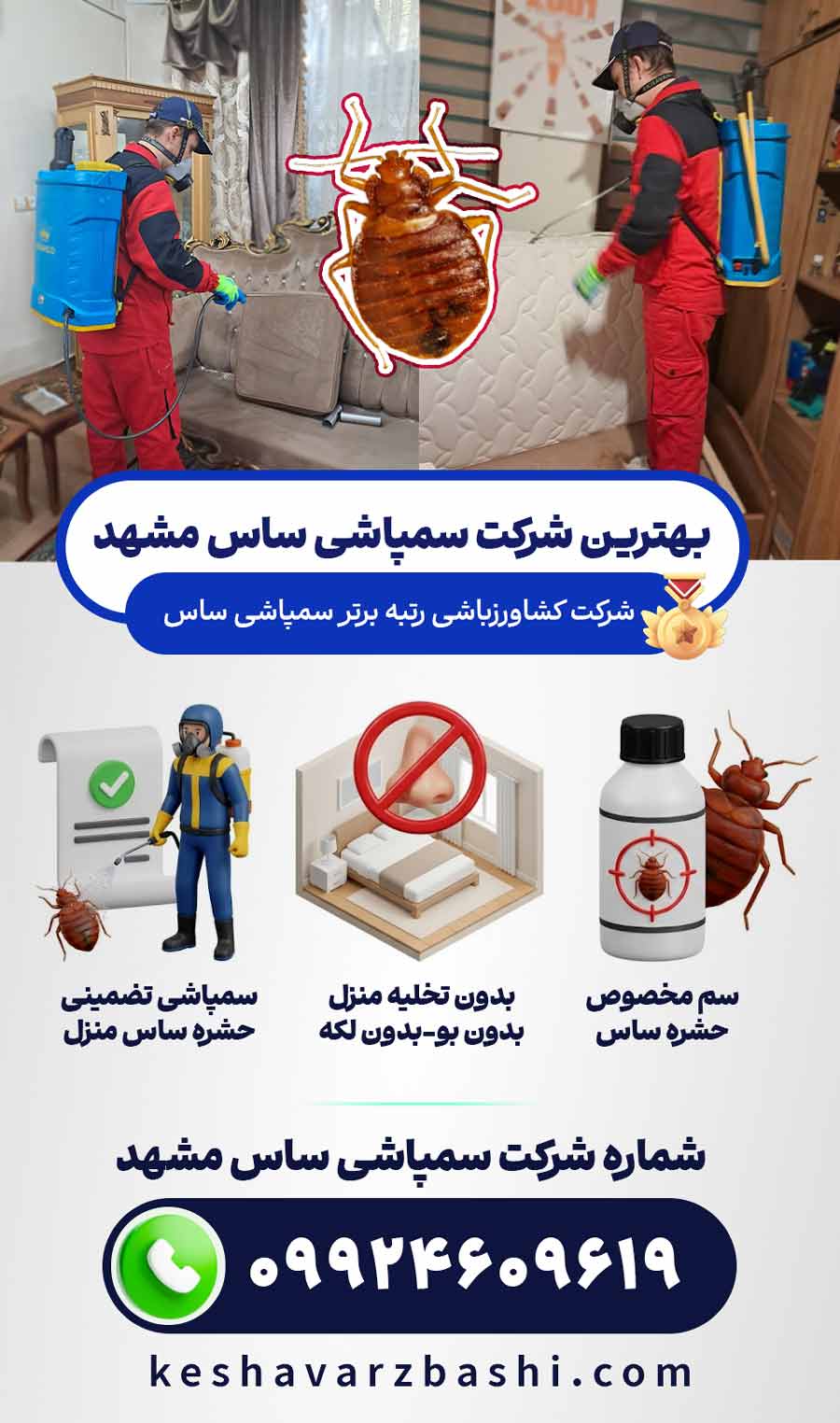 شرکت سمپاشی ساس کشاورزباشی: رتبه برتر سمپاشی ساس مشهد