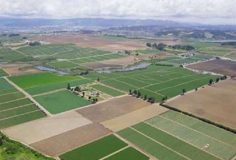 رفع تداخلات شرط اساسی صدور سند اراضی کشاورزی است