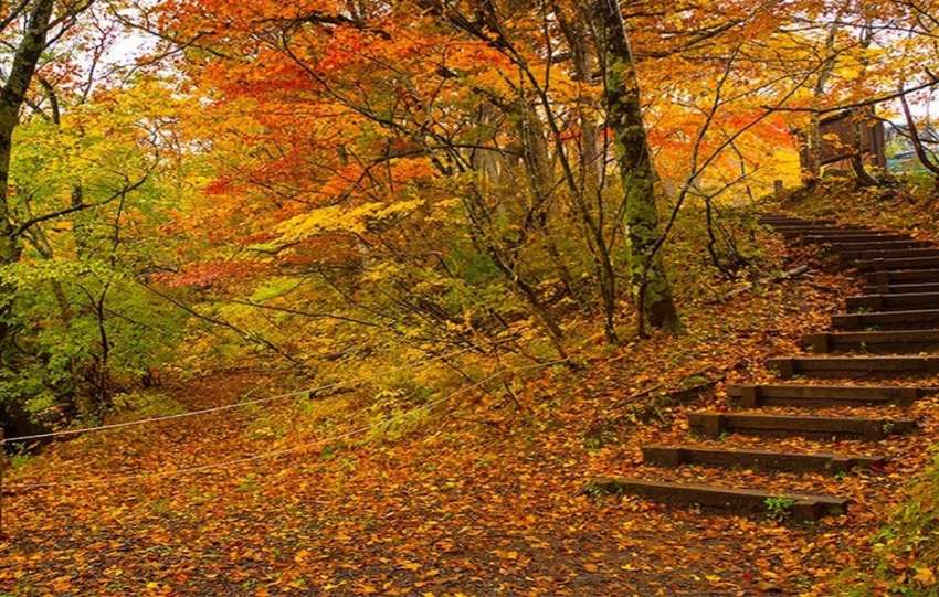 سفر پاییزی با خانواده؛ برنامه‌های خانوادگی و تفریحات پاییزی