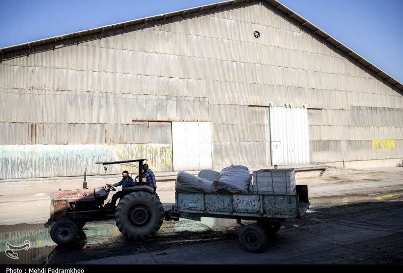 95 درصد سهام هفت تپه واگذار می‌شود