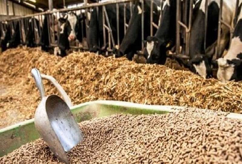 اعلام نرخ ارشادی نهاده‌های دامی بالاتر از بازار