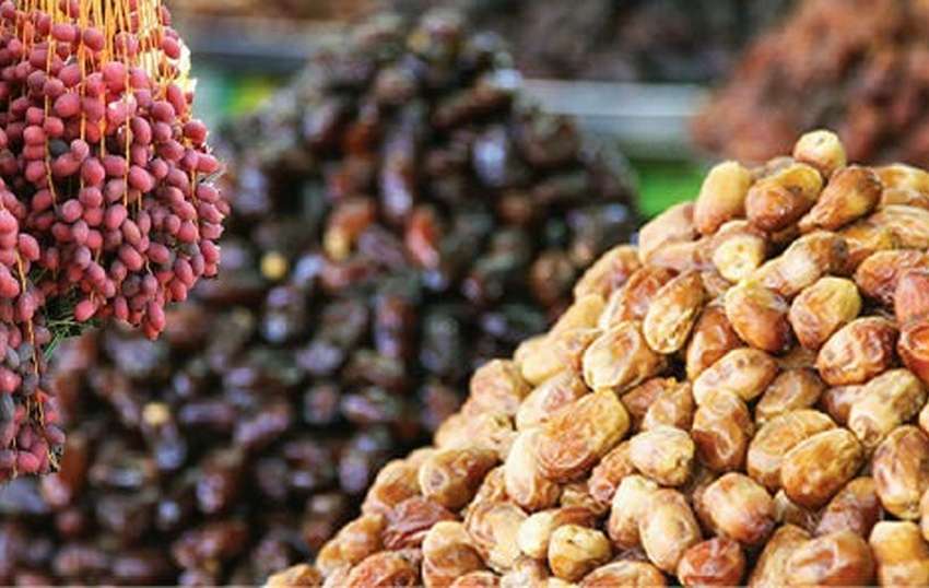 افت صادرات خرمای ایران / چرا خرمای ایران بازارهای جهانی را از دست داد؟