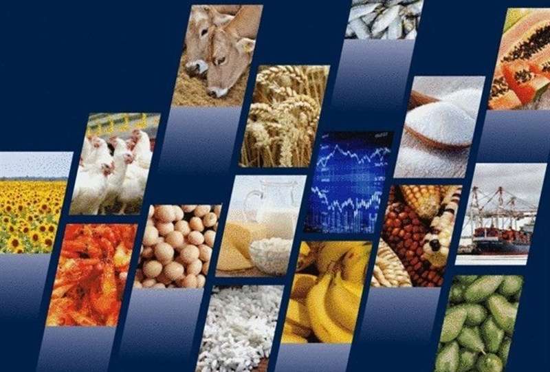 بررسی علل و راهکارهای مقابله با اتلاف مواد غذایی در زنجیره تامین