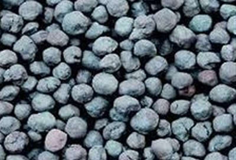 بزرگترین تامین مالی تاریخ بورس کالا فردا انجام می شود