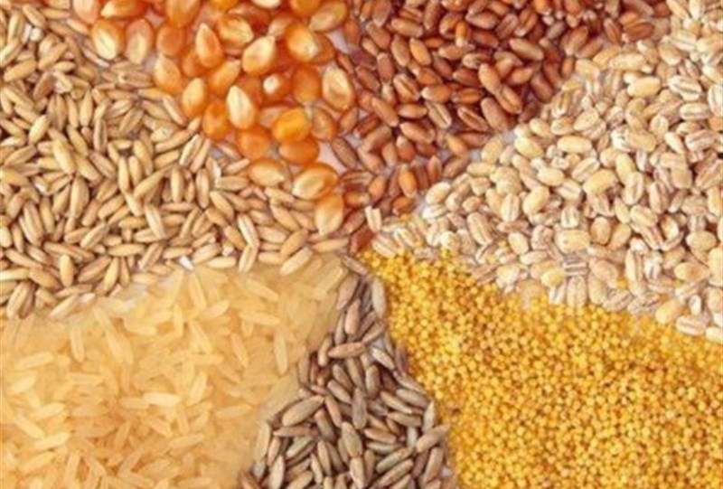 تحویل مدت‌دار نهاده دامی به مرغداران تصویب شد