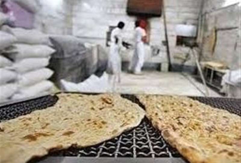 دولت اسیر استدلال‌های غلط مدافعان حذف یارانه نان نشود