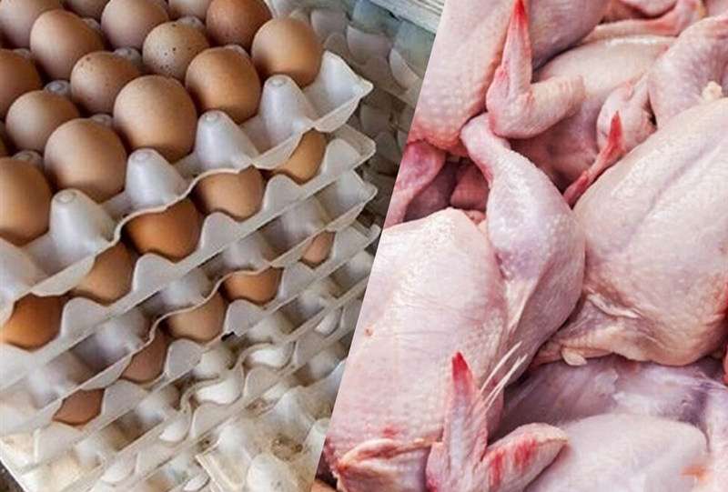 رقابتی شدن تولید مرغ با حذف ارز ترجیحی