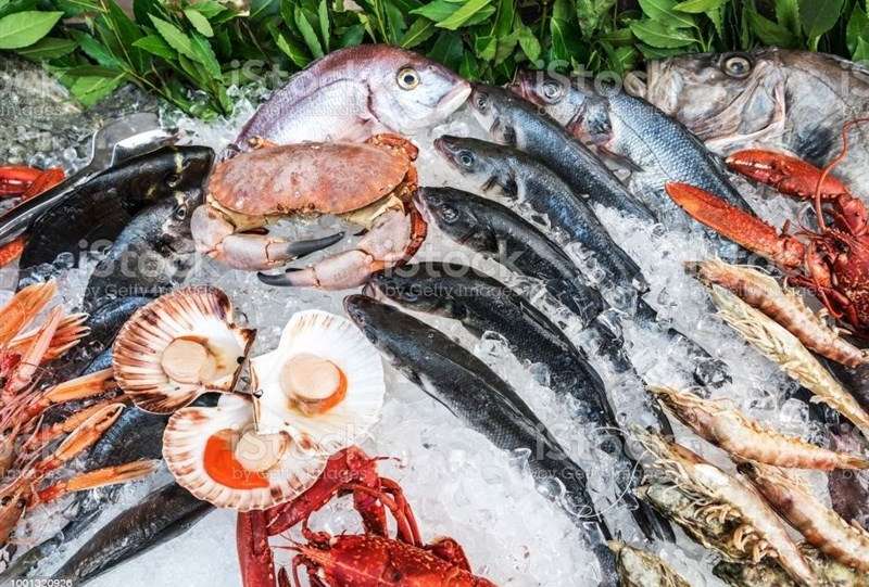 صادرات محصولات شیلاتی ایران به 61 کشور جهان