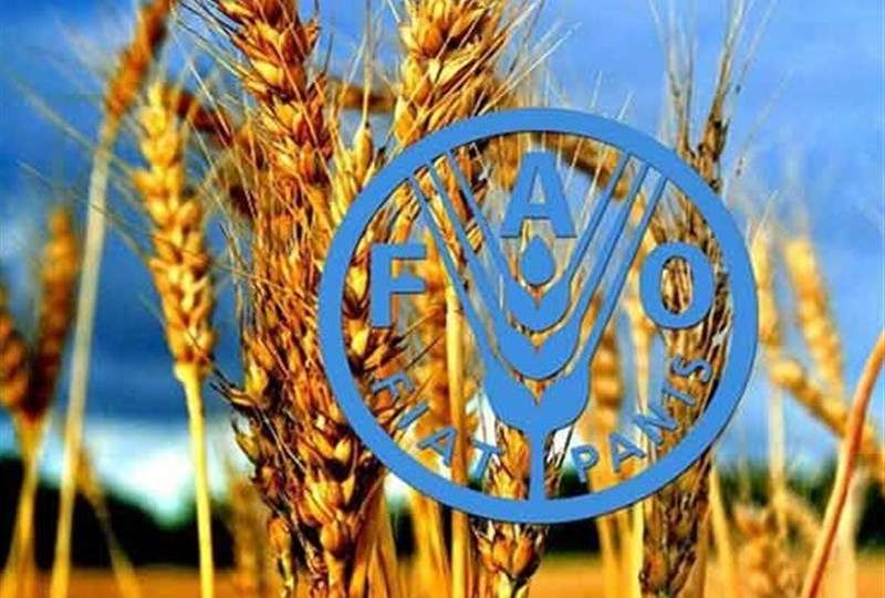فائو: استفاده از فناوری هسته‌ای برای غلبه بر ناامنی غذایی ضروری است