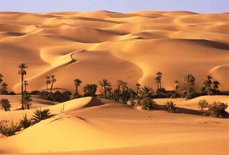 «نجات آب» ــ 69| حمایت از زنجیره ارزش پایدار محصولات در مناطق خشک