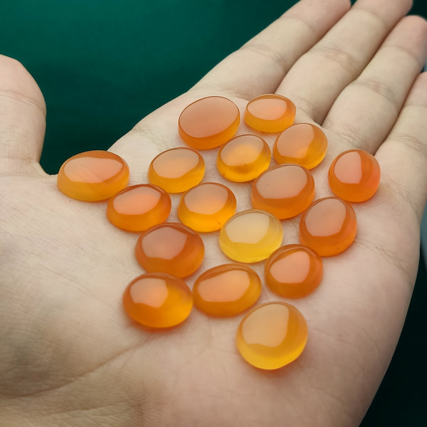 چرا شرف الشمس سیاه می شود؟ ۵ علت تغییر رنگ شرف الشمس زرد چرا شرف الشمس سیاه می شود؟ ۵ علت تغییر رنگ شرف الشمس زرد