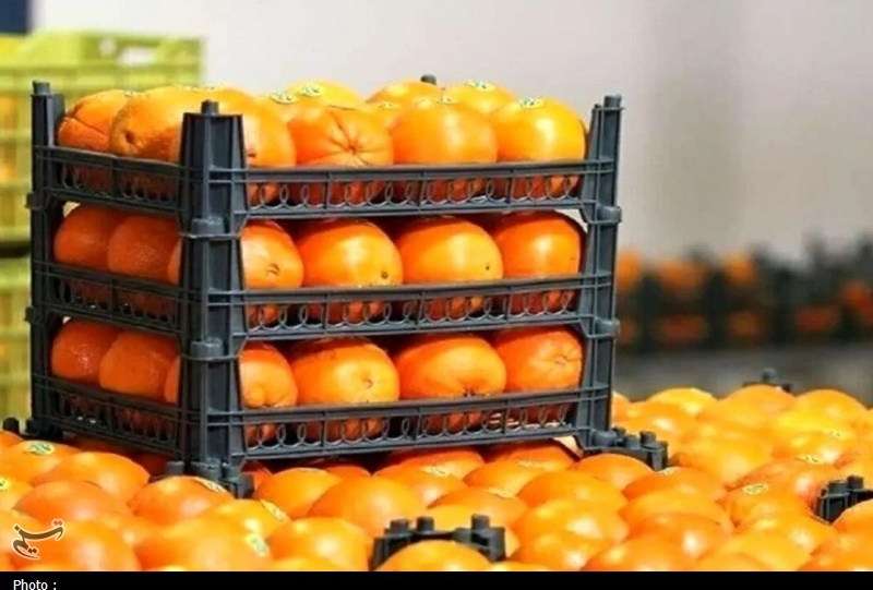 آغاز توزیع میوه ایام پایانی سال از امروز در تهران