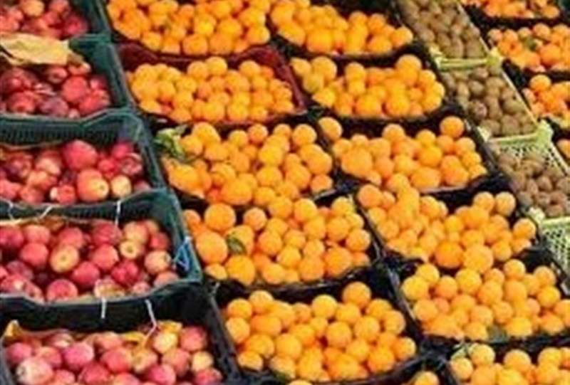 آغاز عرضه میوه شب عید از امروز در سراسر کشور