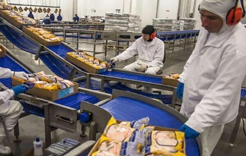 افزایش هزینه حمل‌ونقل کشتی‌ها در جنگ و تغییر مسیر به دور آفریقا/ رشد ۴۰درصدی هزینه تولید صنایع غذایی