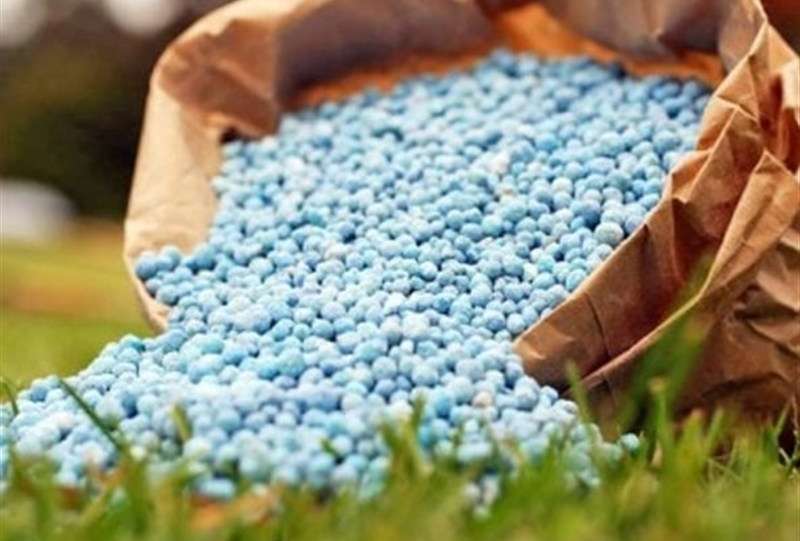 رشد 89 درصدی قیمت اوره / جهان در آستانه تورم مواد غذایی