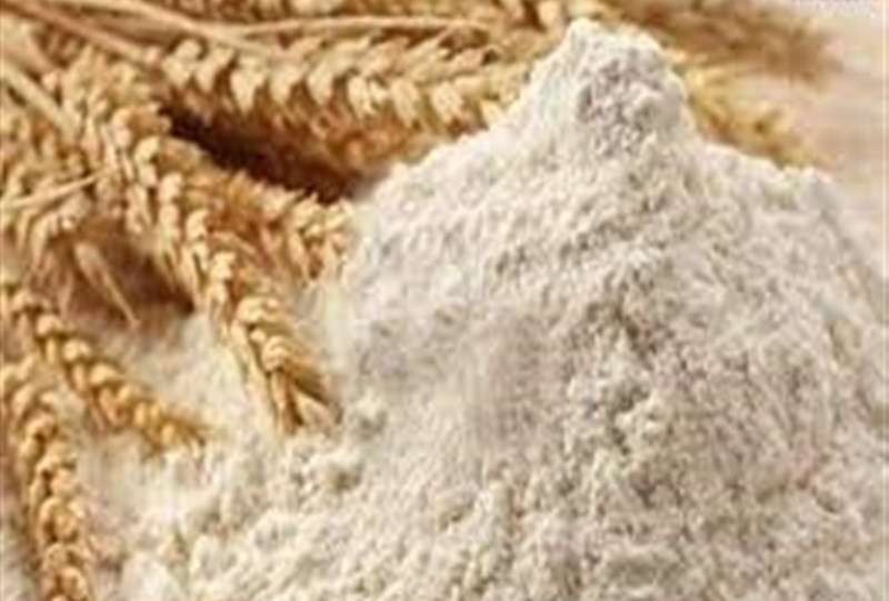 روزانه 2500 تن آرد در استان تهران توزیع می‌شود