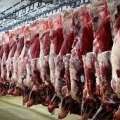 نگرانی در تأمین گوشت قرمز در کشور نداریم