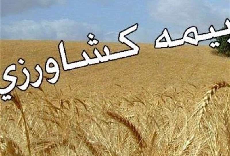 پرداخت 5200 میلیارد ریال غرامت بیمه کشاورزی در جنگ تحمیلی