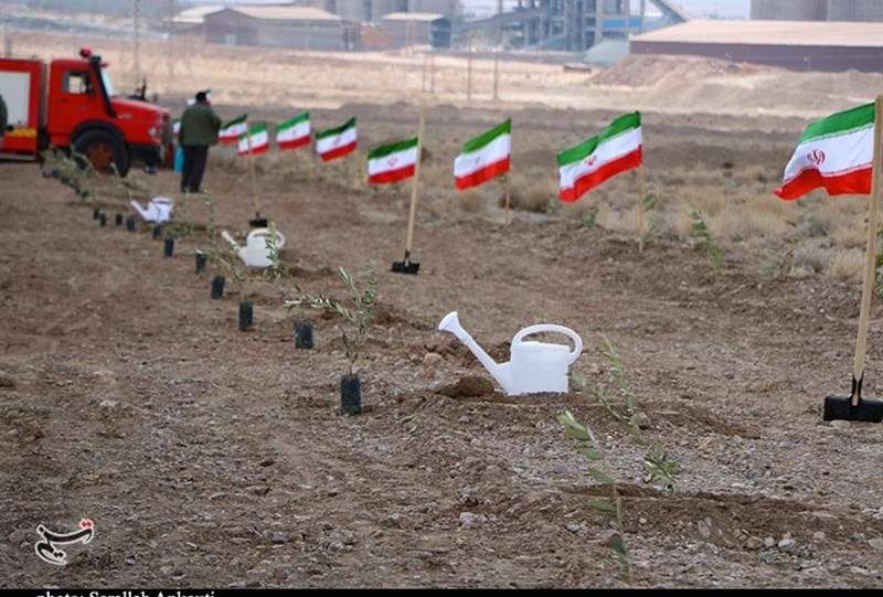 پیگیری طرح رهبر شهید برای کاشت یک میلیارد درخت با قوت بیشتر
