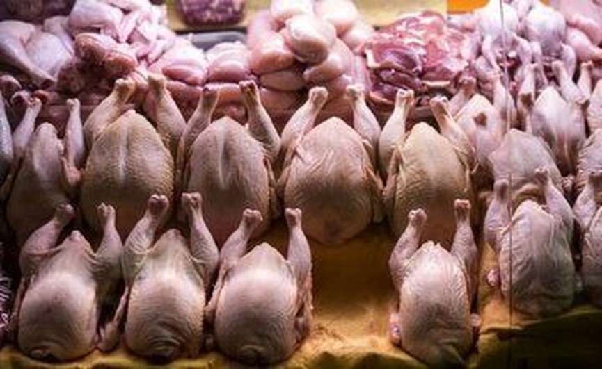 کشور همسایه به داد بازار مرغ ایران رسید