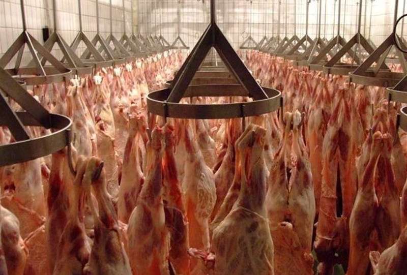 گوشت به وفور موجود است/ نیازی به استفاده از ذخایر استراتژیک نیست