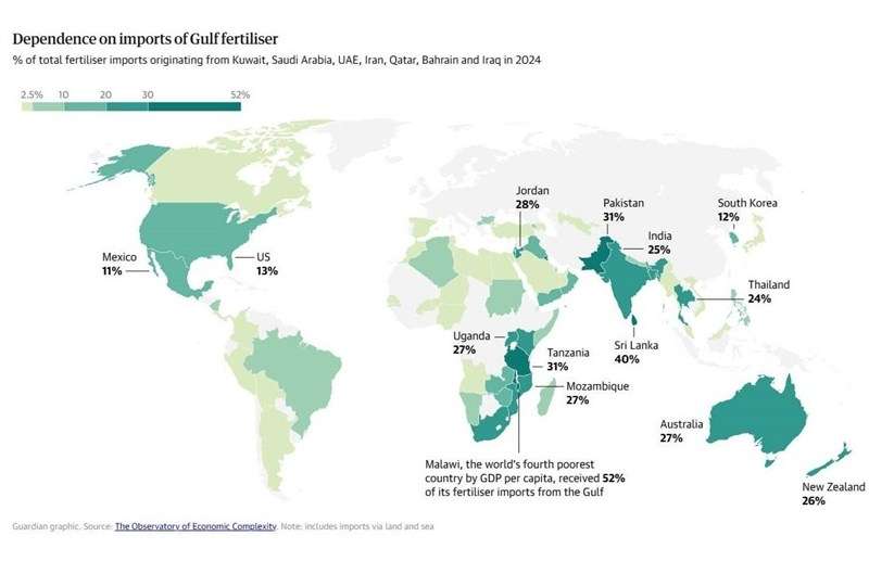 جزئیات وابستگی غذای جهان به تنگه هرمز/ موج قیمتی بر همه تاثیرگذار است