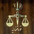 بازداشت متهمان پرونده‌های ارزی/ بدهی کشف‌شده به 1.7 میلیارد یورو رسید